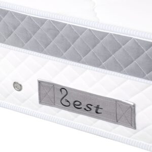 تشک Zest مدل اویستر